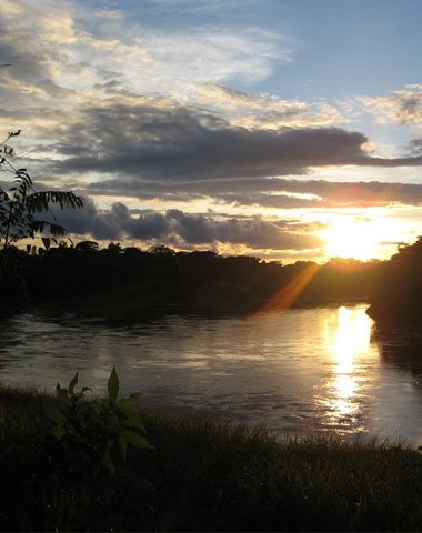 Amazon Jungle & Machupicchu