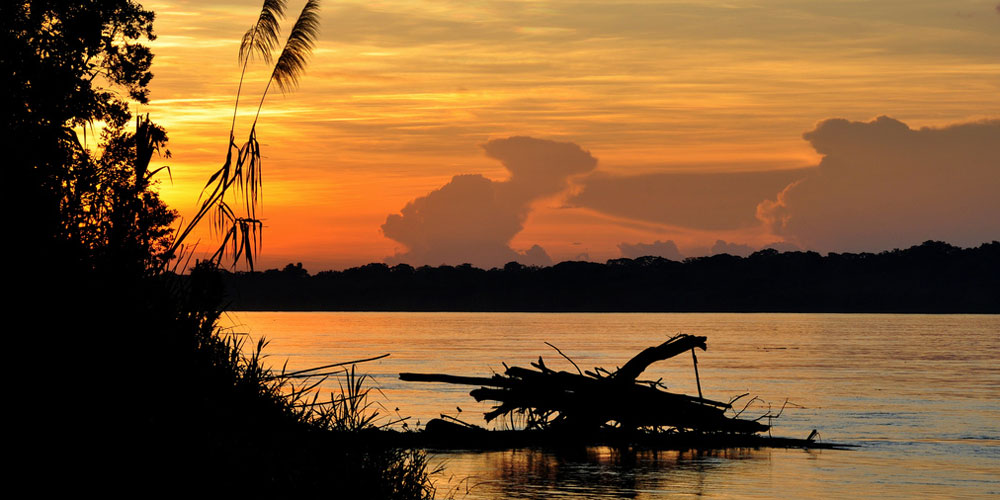 Our Manu & Bird Watching Trip 10 Days 9 Nights