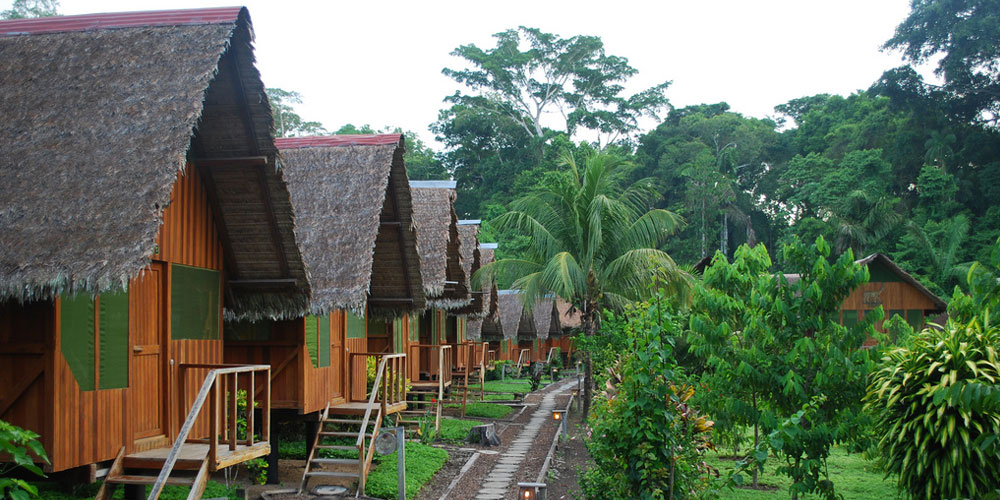 Our Manu & Bird Watching Trip 10 Days 9 Nights