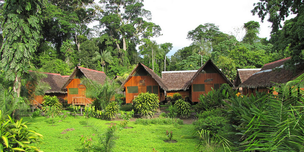 Our Amazon Jungle & Machupicchu Trip 10 Days 9 Nights