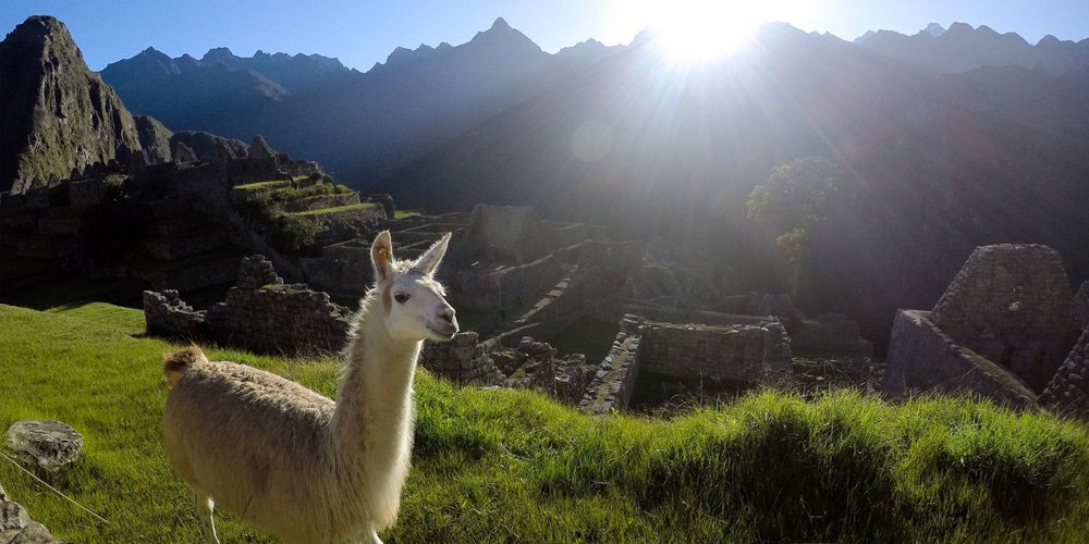 abroad-machu-picchu-2